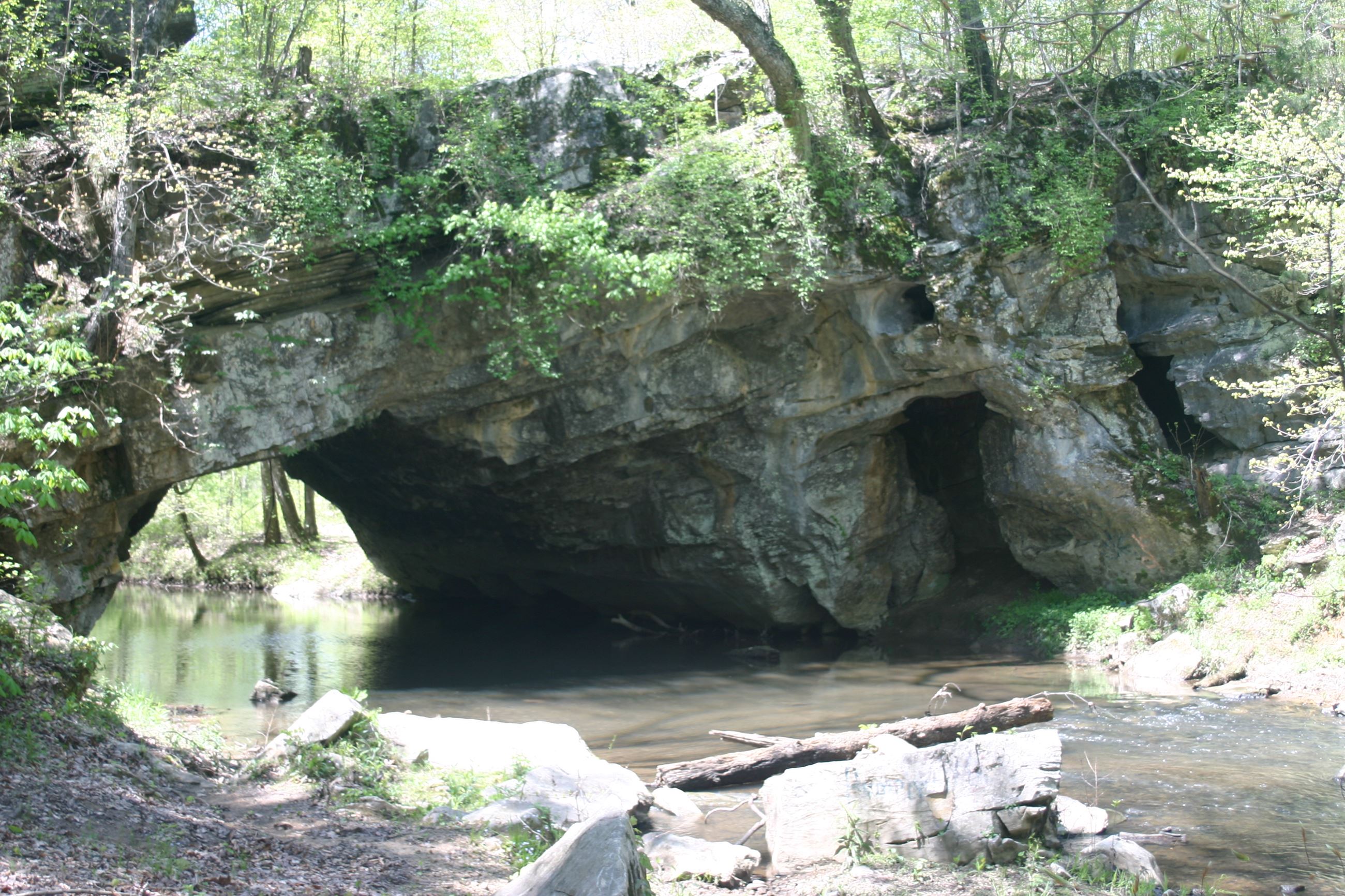 Photo Gallery • Rock Bridge at Gallant